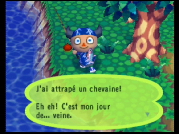 Animal Crossing en français