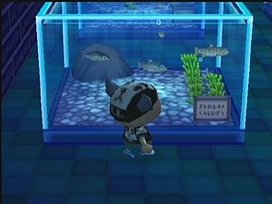 Animal Crossing s'exhibe sur NGC