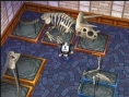 Animal Crossing s'exhibe sur NGC