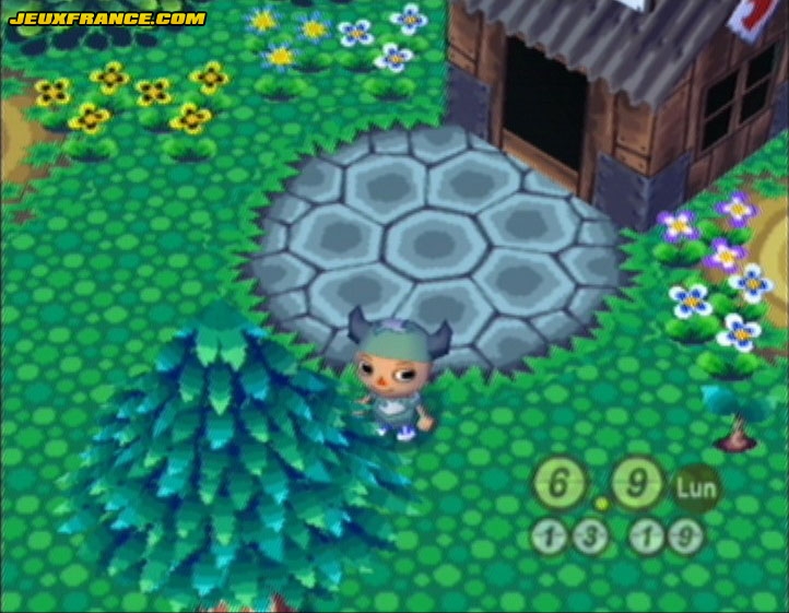 Animal Crossing : Images maison