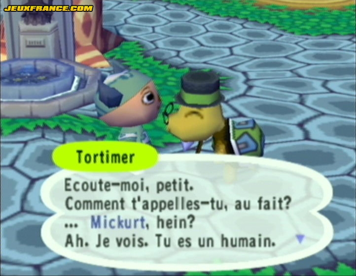 Animal Crossing : Images maison