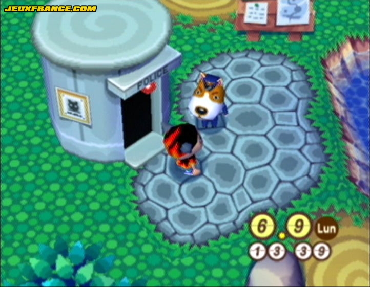 Animal Crossing : Images maison