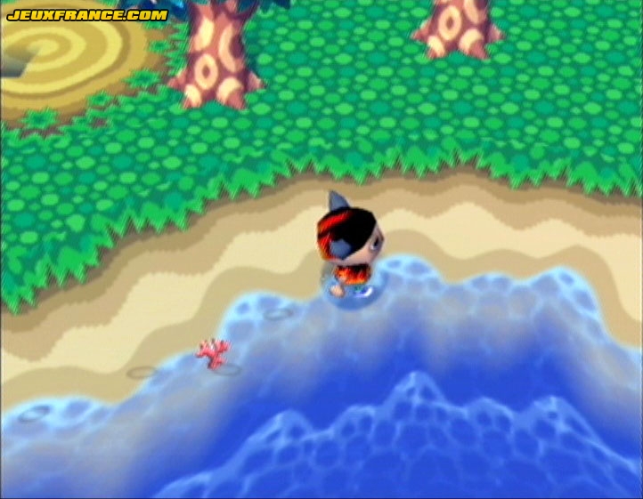 Animal Crossing : Images maison