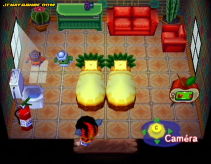 Animal Crossing : Images maison