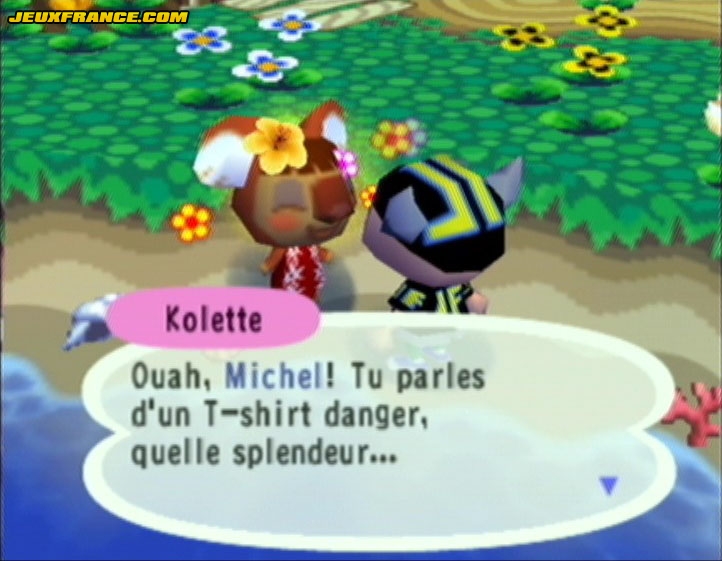 Animal Crossing : Images maison