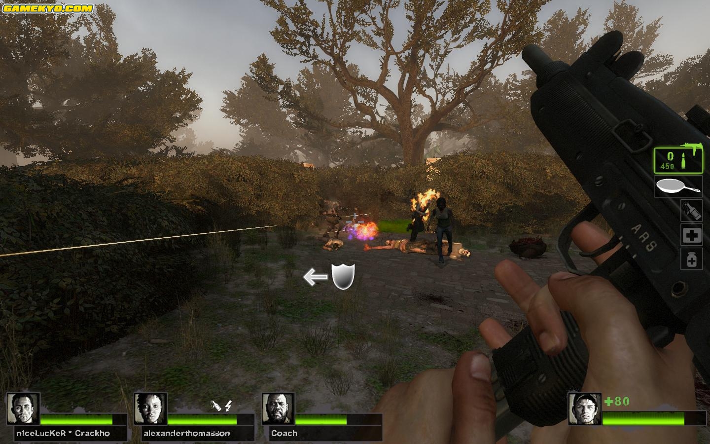 L4D2 : Une quinzaine d'images maison