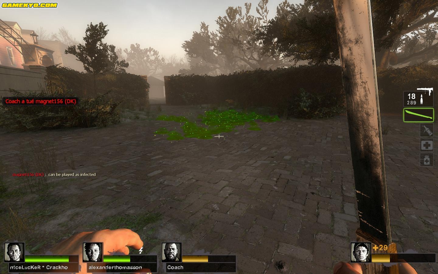 L4D2 : Une quinzaine d'images maison