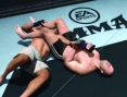 Première image pour EA Sports MMA