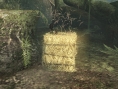 MGS Peace Walker: new images