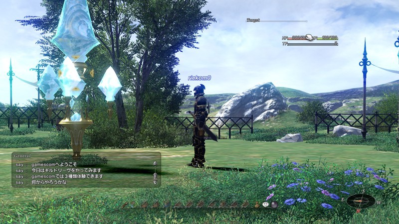 Final Fantasy XIV prend la pose