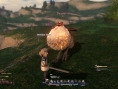 Final Fantasy XIV : nouvelles images de la bêta