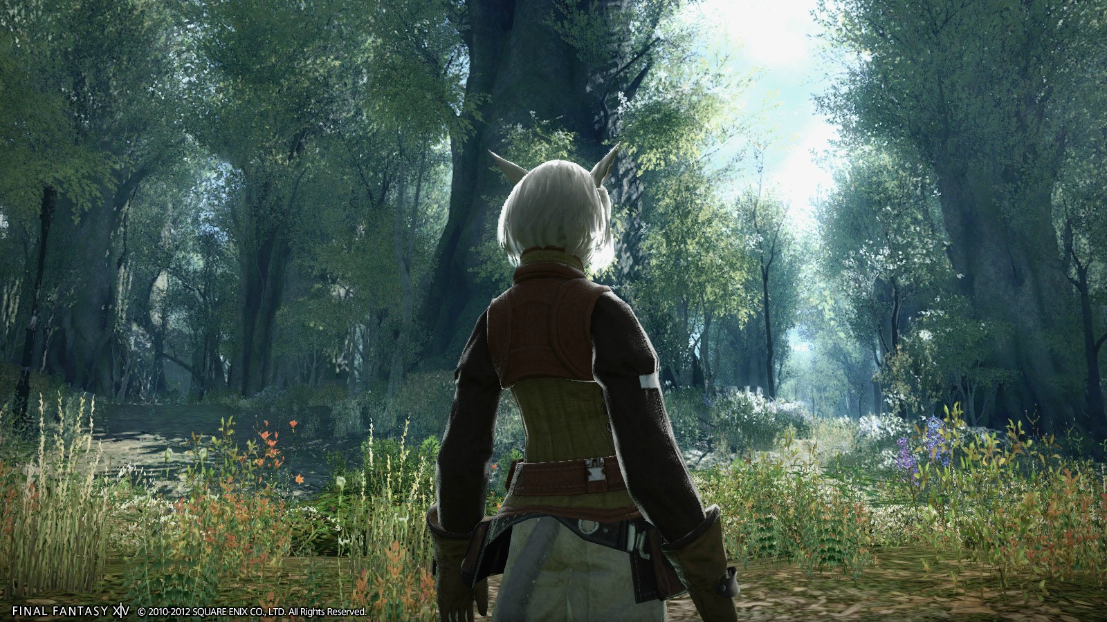 Final Fantasy XIV : images du 2.0
