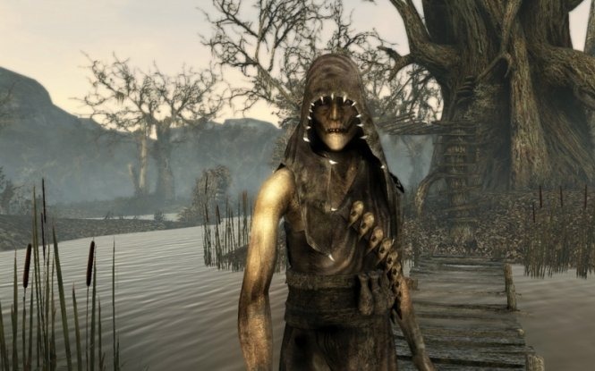 Two Worlds II : décors et combats en images