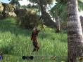 Two Worlds II : combats, magie et mini-jeux
