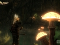 Screens Two Worlds II (extension)