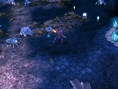Sacred 2 : Ice & Blood illustré une nouvelle fois