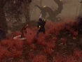 S2 Ice & Blood : Le Mage Dragon en images