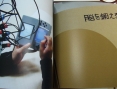 Une mystérieuse brochure Nintendo [rumor]