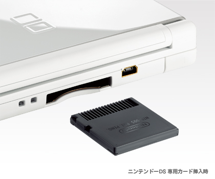 Nintendo DS Lite en trois couleurs