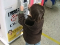 La Nintendo DS Lite jouable au Japon