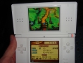 La Nintendo DS Lite débarque au Japon
