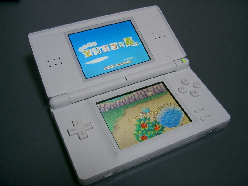 La Nintendo DS Lite débarque au Japon