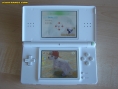 Nintendo DS Lite