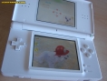 Nintendo DS Lite