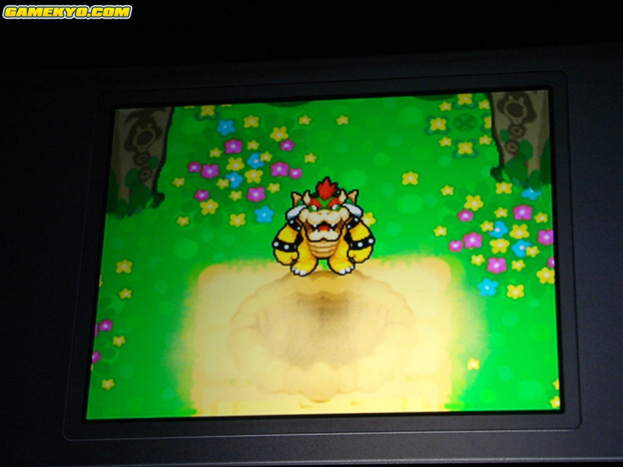 Nintendo : Conférence E3 2009