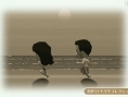 TGS 2011 : conférence Nintendo en direct [UPDATE]