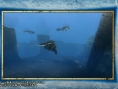 TGS 2011 : conférence Nintendo en direct [UPDATE]