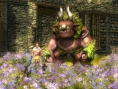 Majin : Une dizaine d'images