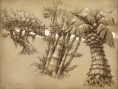 WoW : Cataclysme en artworks