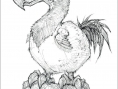 WoW : Cataclysme en artworks