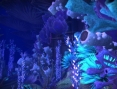 World of Warcraft Cataclysm : new images