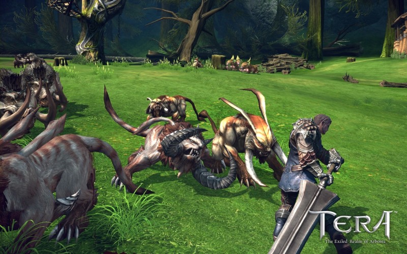 Tera : Un trailer pour la beta