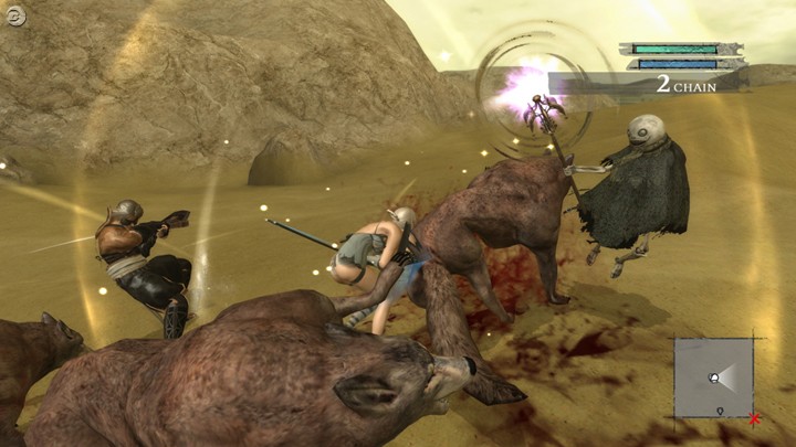 Nier passe à l'attaque en images