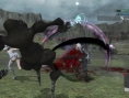 Nier: new images