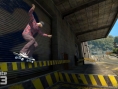 Skate  3: new images and video