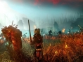 The Witcher 2: new images