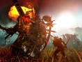 The Witcher 2 : le nouveau trailer