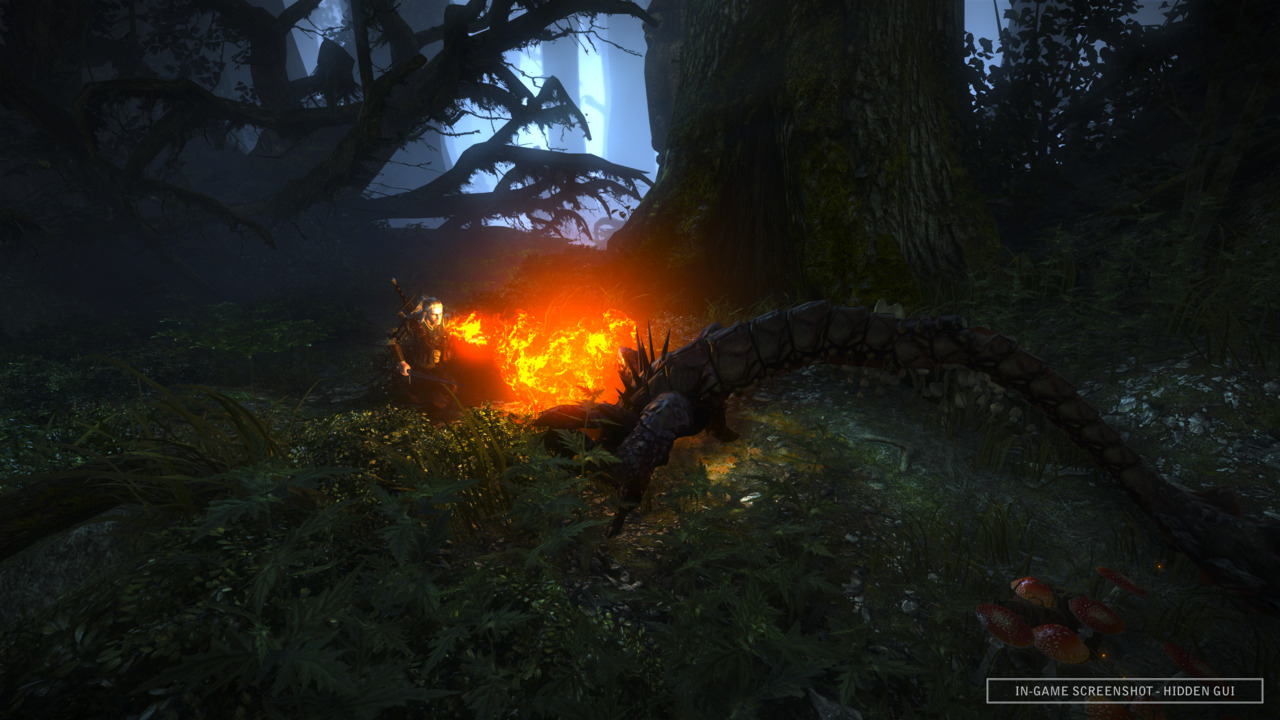 Screens The Witcher 2 : Assassins of King