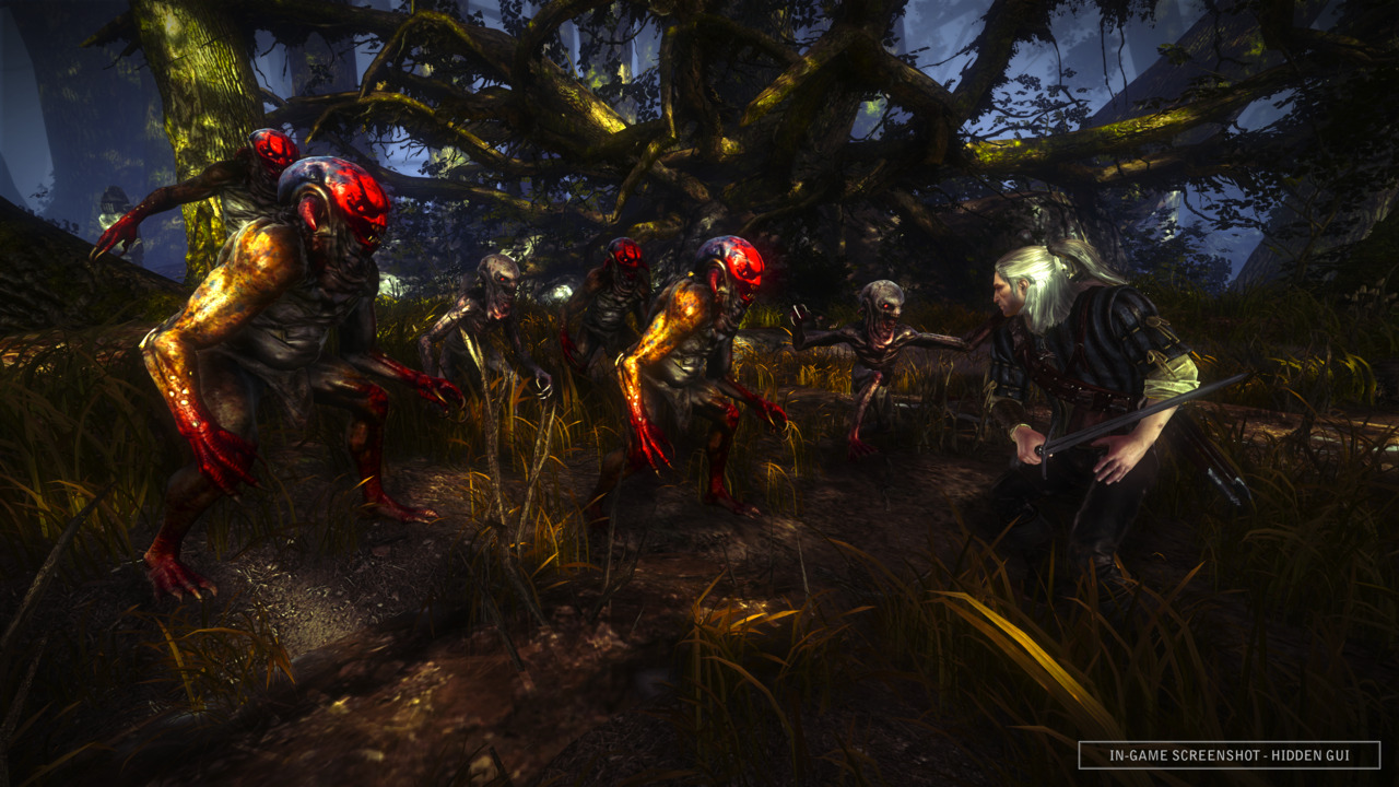 The Witcher 2 : vidéos de gameplay