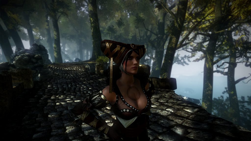 Screens The Witcher 2 : Assassins of King