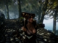 Screens The Witcher 2 : Assassins of King