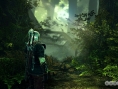 The Witcher 2 : images et date de sortie
