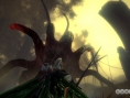 The Witcher 2 : images et date de sortie