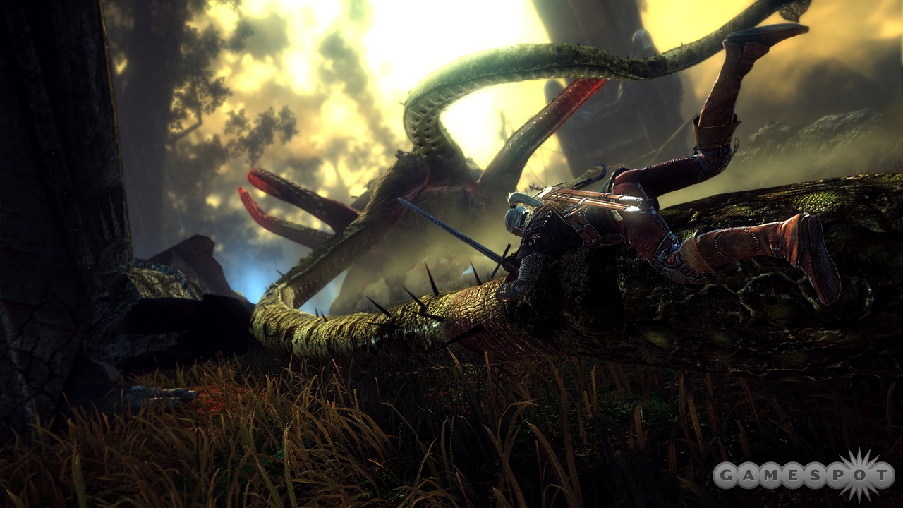 The Witcher 2: new images