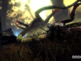 The Witcher 2 : première vidéo