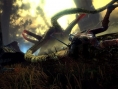 The Witcher 2: new images